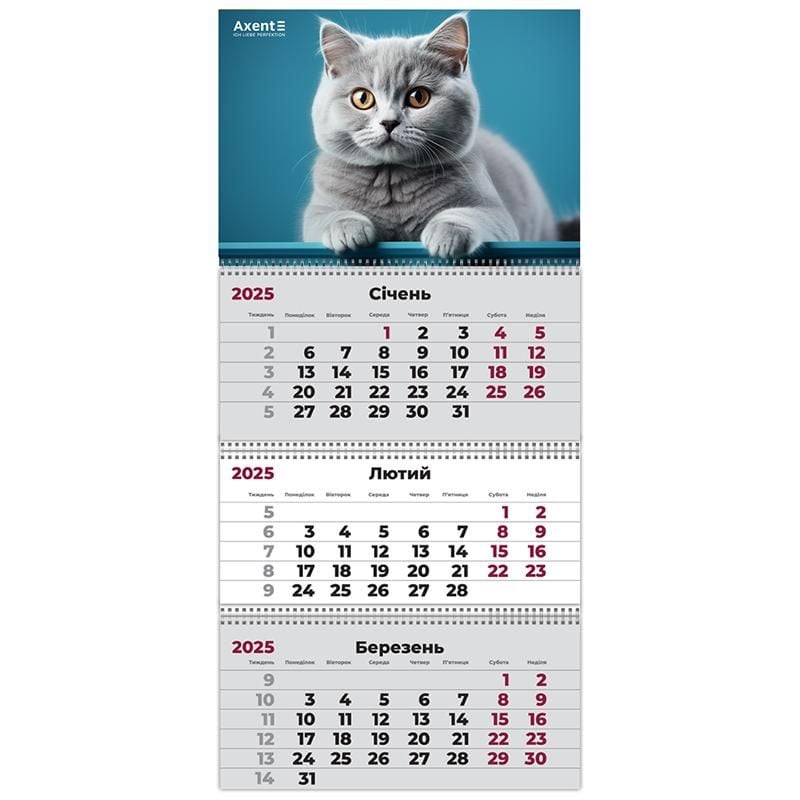 Календар настінний квартальний 2025 р 3 пружини Cats-1 8803-25-13 Axent