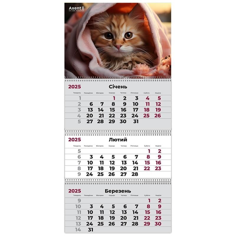 Календар настінний квартальний 2025 р 3 пружини Cats-2 8803-25-14 Axent