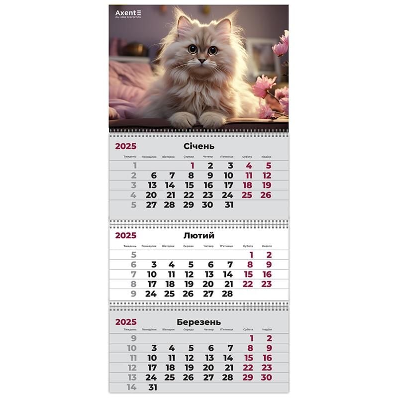 Календар настінний квартальний 2025 р 3 пружини Cats-3 8803-25-15 Axent