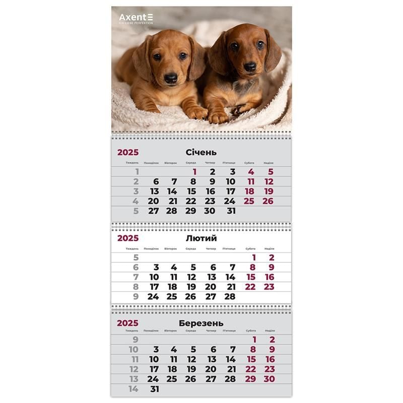 Календар настінний квартальний 2025 р 3 пружини Dogs-1 8803-25-16 Axent