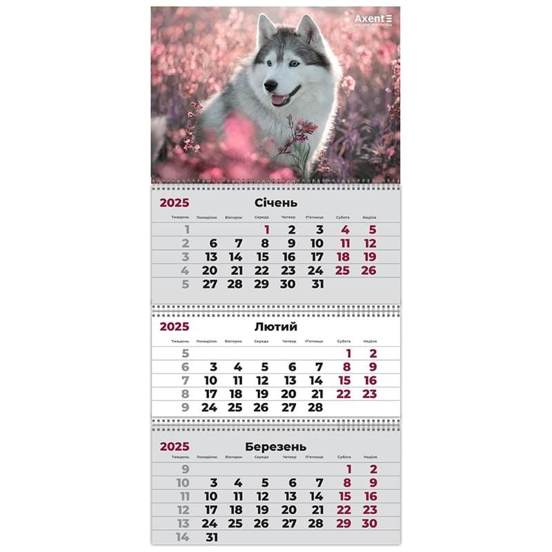 Календар настінний квартальний 2025 р 3 пружини Dogs-2 8803-25-17 Axent