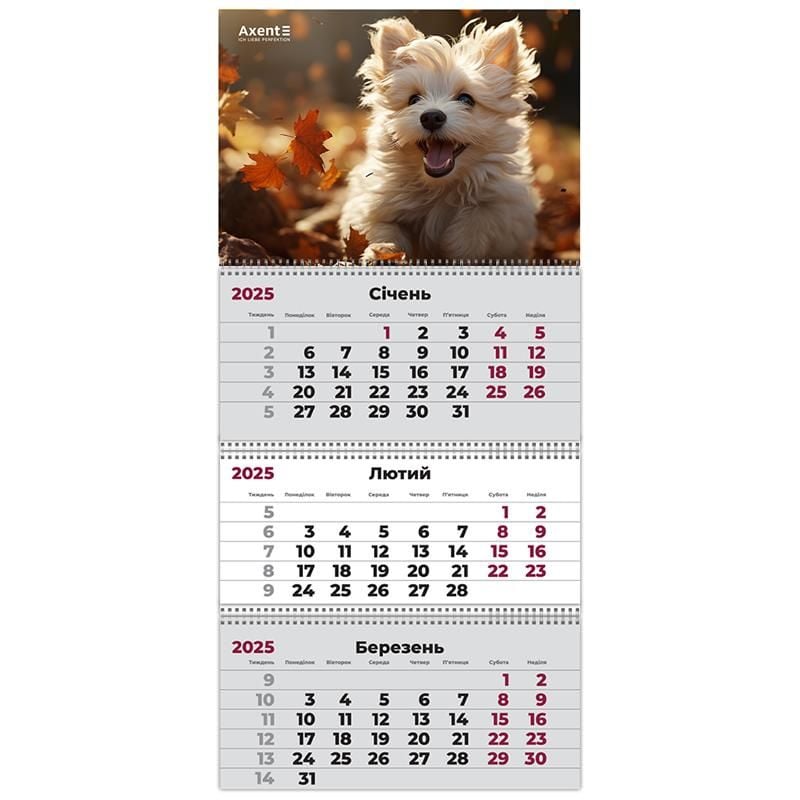 Календар настінний квартальний 2025 р 3 пружини Dogs-3 8803-25-18 Axent
