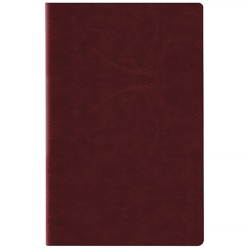 Блокнот щоденник 2026 Partner City Soft м'яка обкл срібний зріз 145*210 мм коричневий 8821-26-05 Axent