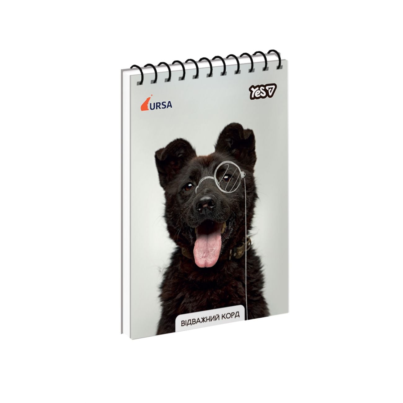 Блокнот А6 на пружині 80 арк кліт Ursa Відважний Корд 152504 YES!