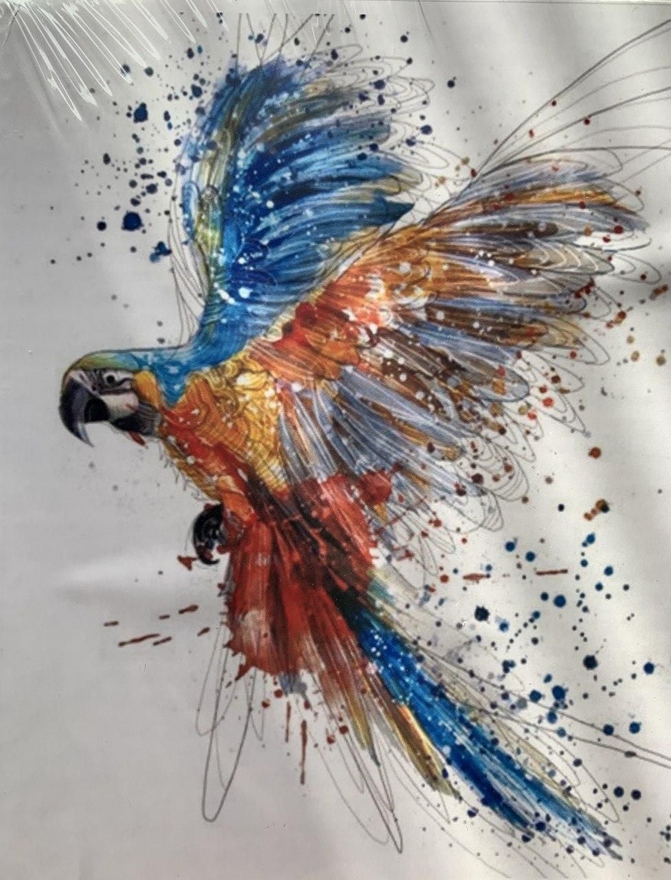 Картина за номерами 24 кольори Папуга ST-8028-7 SULTANI