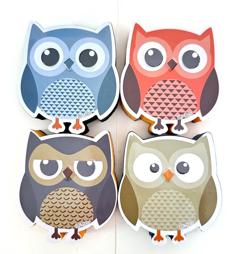 Губка магнітна Сова LF-507 AIHAO