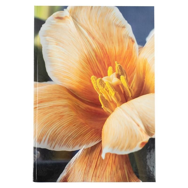 Блокнот Книга А4 Flora 192арк, клітинка, жовта 8423-27 Axent