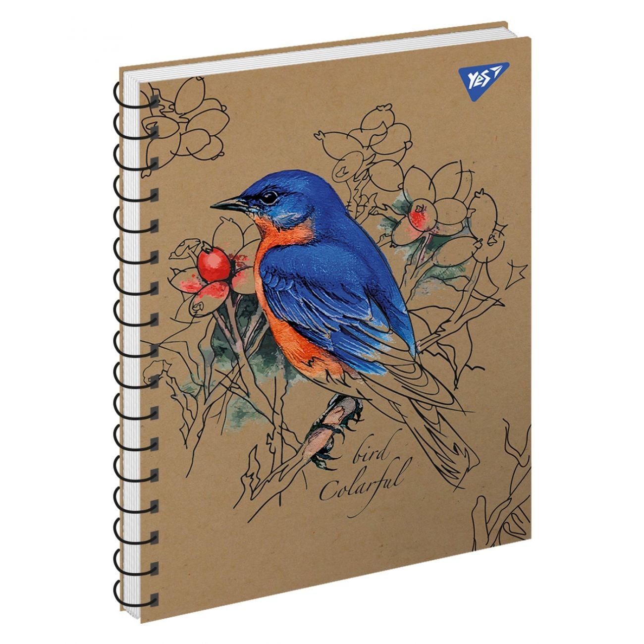 Блокнот А5 96 арк клітинка пружина Colarful birds крафт (3шт) 681925 YES!