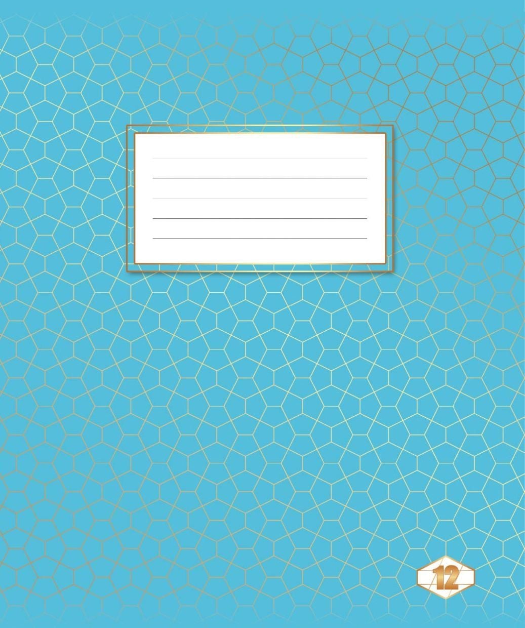 Зошит 12 арк # фоновий (25/700) ТЕ 12794 Тетрада